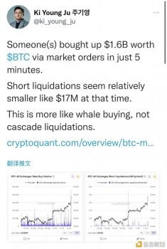 CryptoQuant CEO:疑似巨鲸在5分钟内购买了价值16亿美元的BTC - 屯币呀