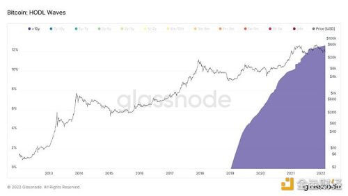 分析师:比特币流通量的12.6%已超过10年未发生转移 - 屯币呀
